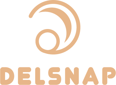 Delsnap Malaysia Sdn Bhd